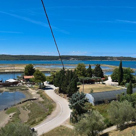Olive Garden & Sea Apartments Portorož Dış mekan fotoğraf