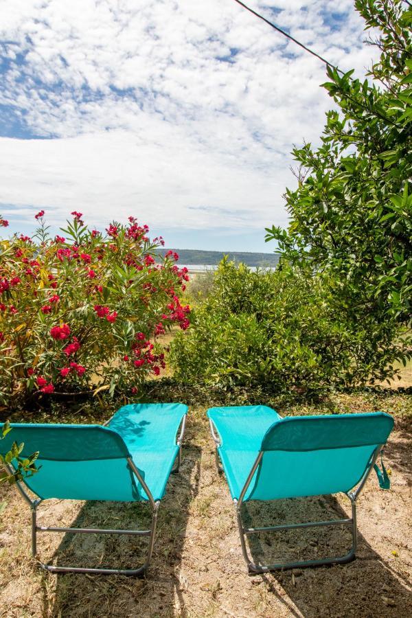 Olive Garden & Sea Apartments Portorož Dış mekan fotoğraf