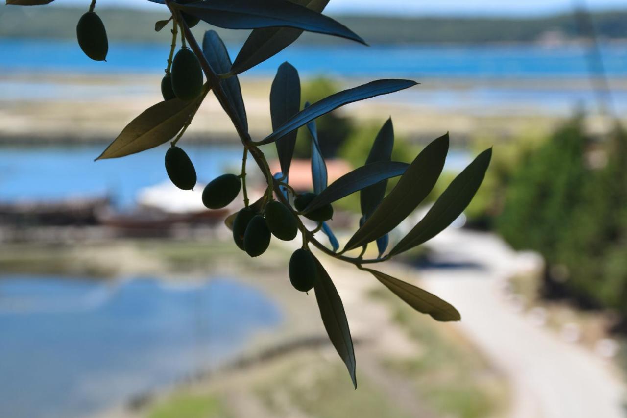 Olive Garden & Sea Apartments Portorož Dış mekan fotoğraf