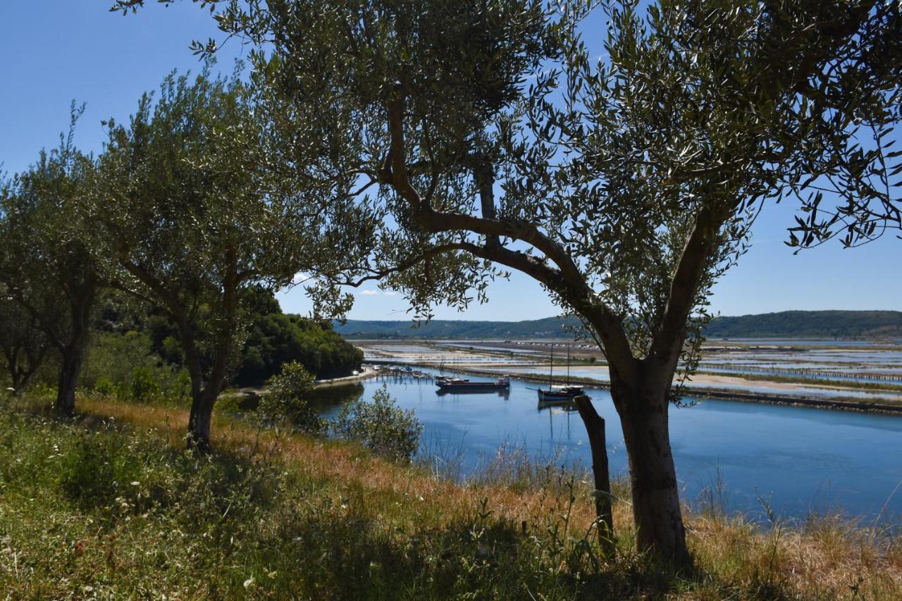 Olive Garden & Sea Apartments Portorož Dış mekan fotoğraf