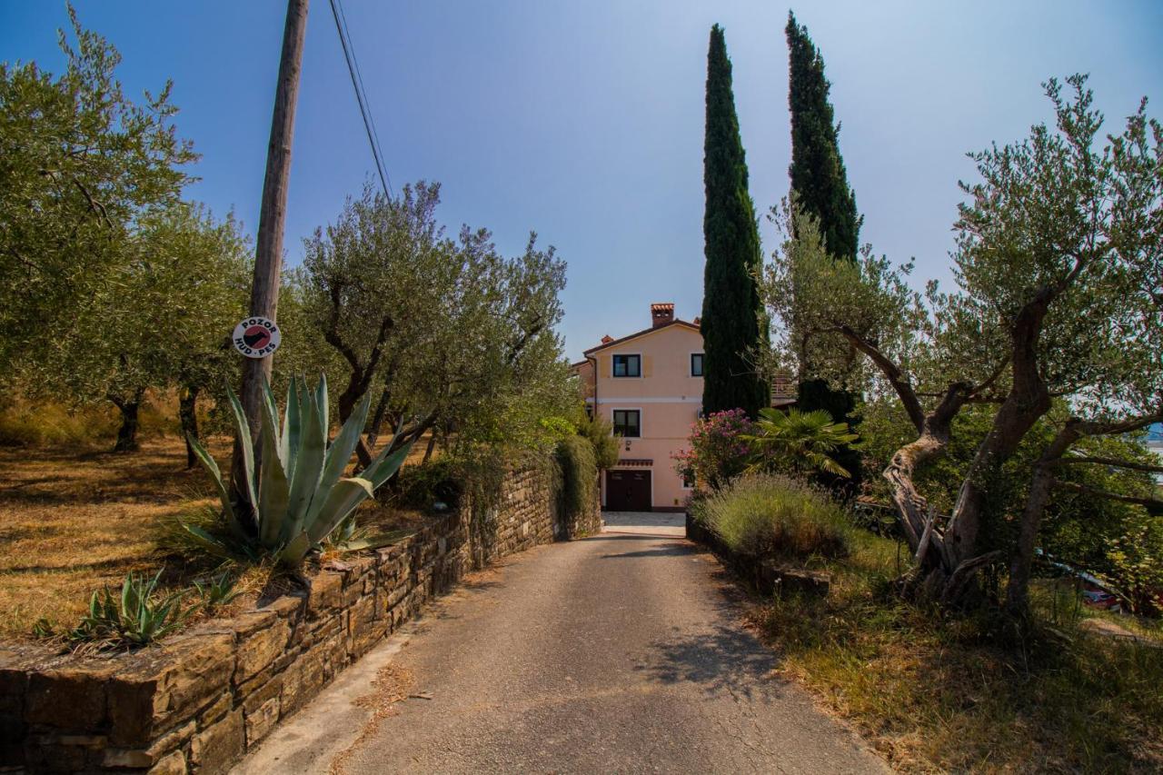 Olive Garden & Sea Apartments Portorož Dış mekan fotoğraf