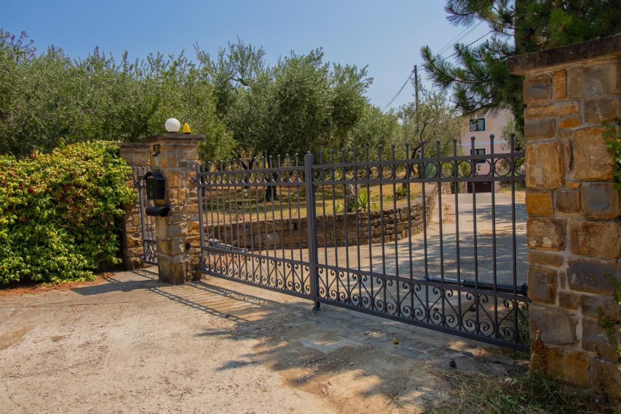 Olive Garden & Sea Apartments Portorož Dış mekan fotoğraf